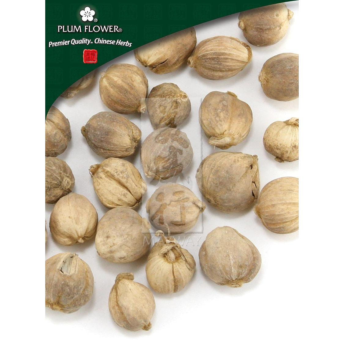 Bai Dou Kou, unsulfured Amomum kravanh fruit 1 個
