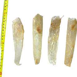 HMT Basa Dried Fish Maw 200g Seafood for Soup 1 each