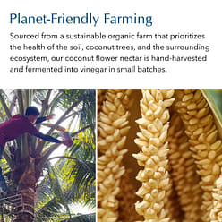 Avvi organic coconut flower cider vinegar (turmeric) 8 oz