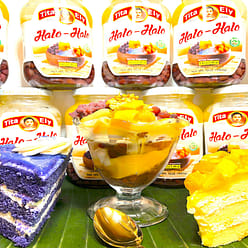 FILIPINO "HALO HALO" FRUIT MIX DELICIOUS DESSERT 340 그램