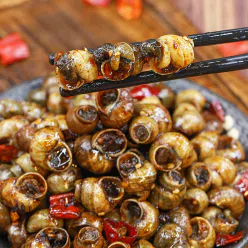 Sichuan Spicy Snail 1 Bag Snail Lion Meat Snack 150 g