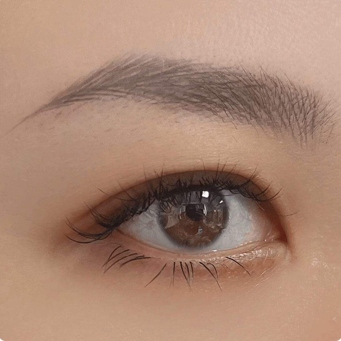 SHESSTILL Hard Square Brow Pensil 08 Dark Brown 4 g