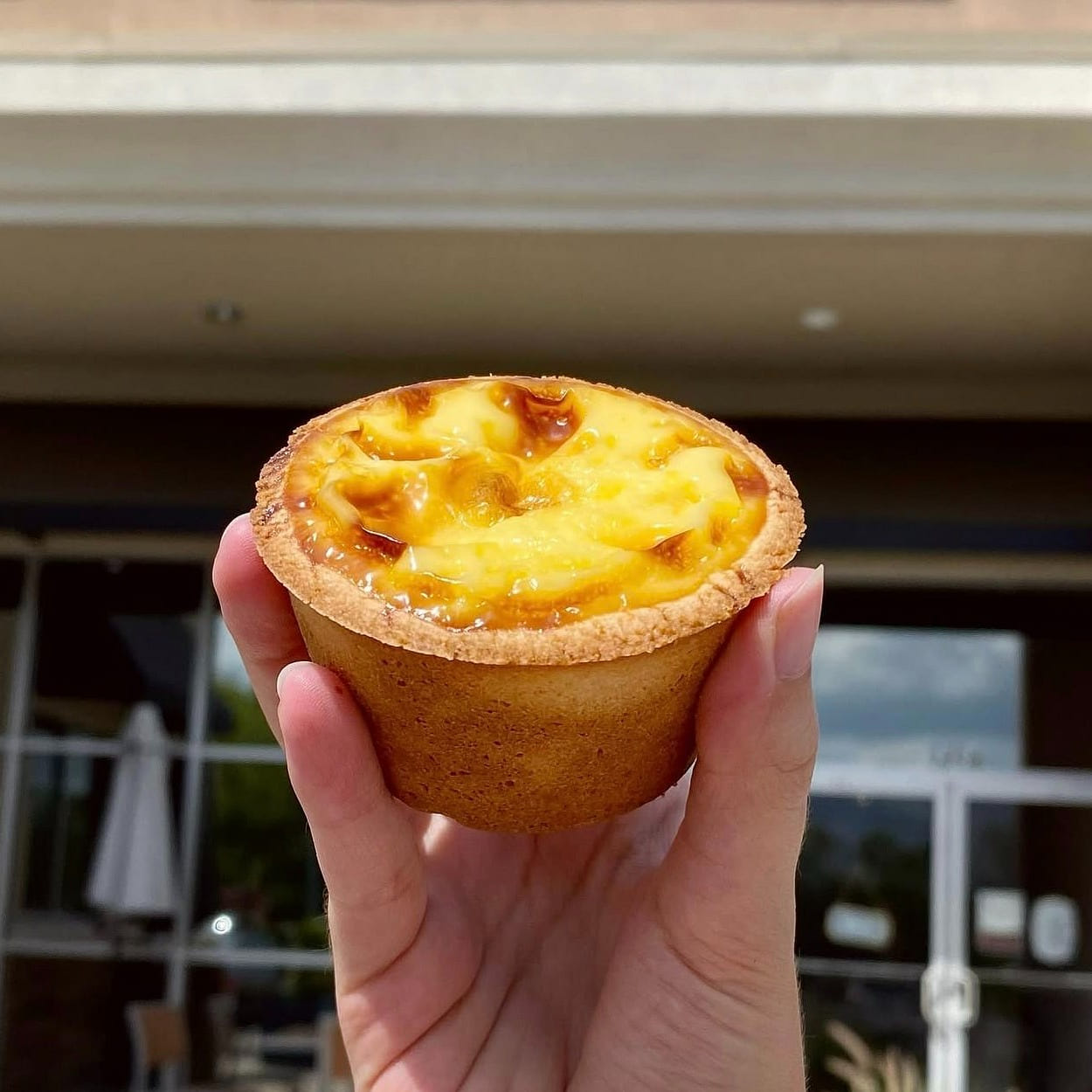 French Egg Tart 1 count