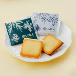 【日本北海道直邮】石屋制菓ISHIYA 白色恋人巧克力夹心饼干组合装 铁盒装 54枚入（白巧克力36枚，黑巧克力18枚） 1 盒