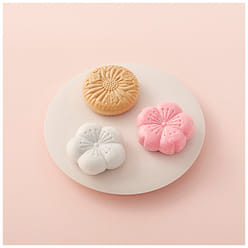 【日本直邮】虎屋 三色最中红豆糕 6块装 1 케이스