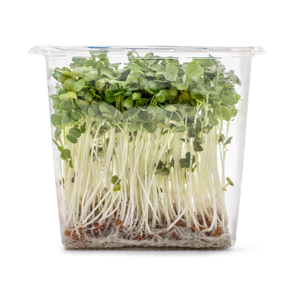 Radish Sprouts 2.5 oz