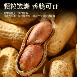 Xudong Peanut Pecan Flavor 258 g