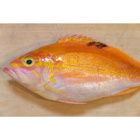 weee_seafood_Aka Isaki 2.0lbs 0 lb