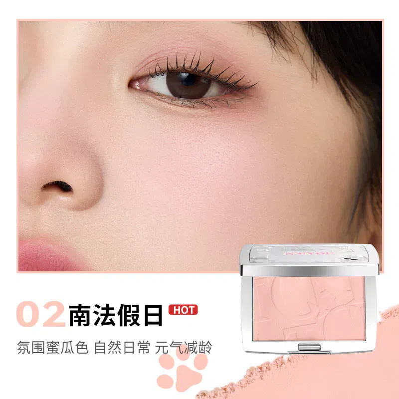 Blush Highlights 02 South French holiday 3g*1 1 count