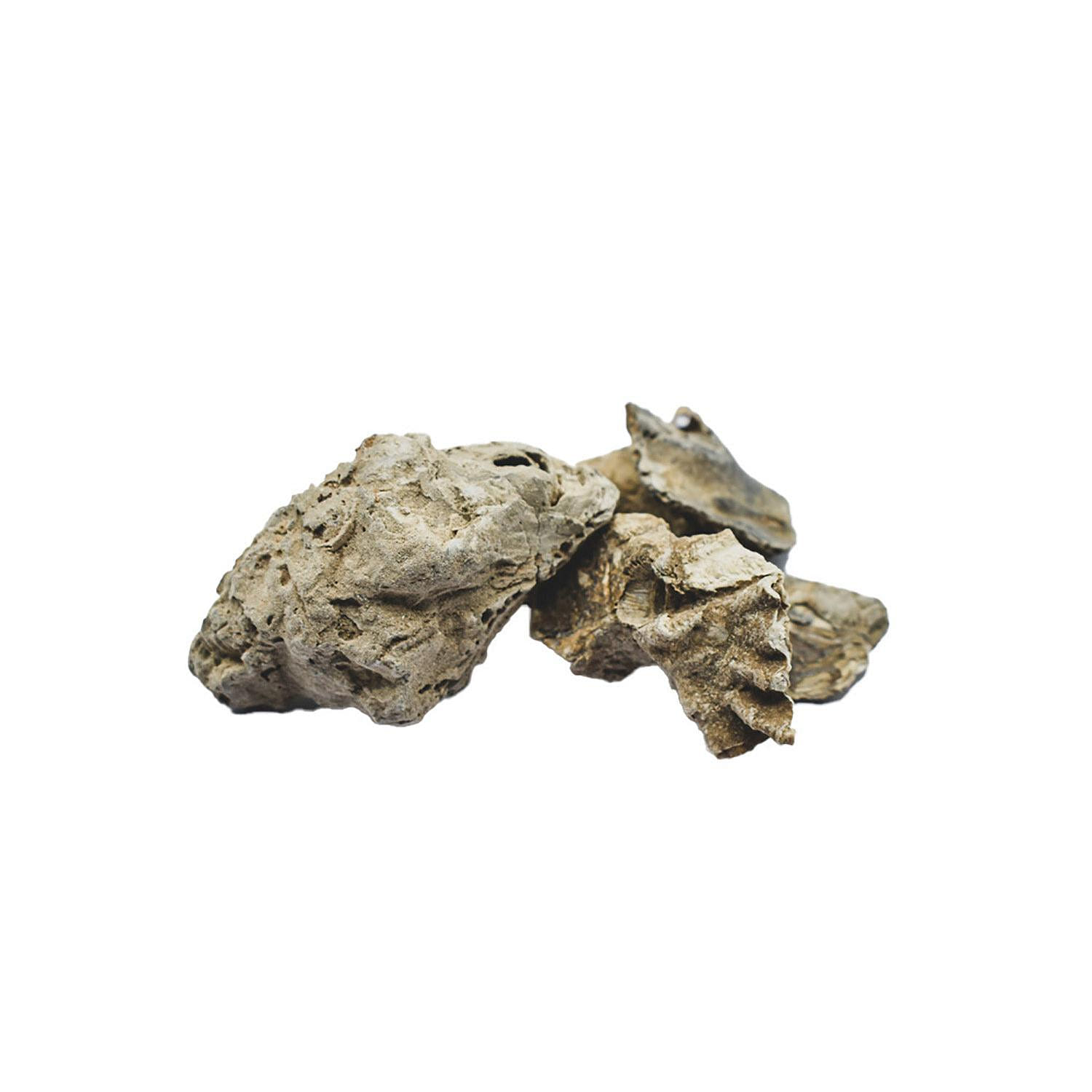 MU LI - Oyster Shell - Custom Amount 1lb (454g) 1 개