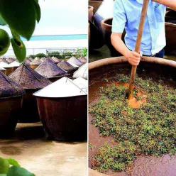 Stir fried chicken and Sichuan pepper sauce 450 g