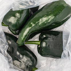 Poblano Pepper 1 lb