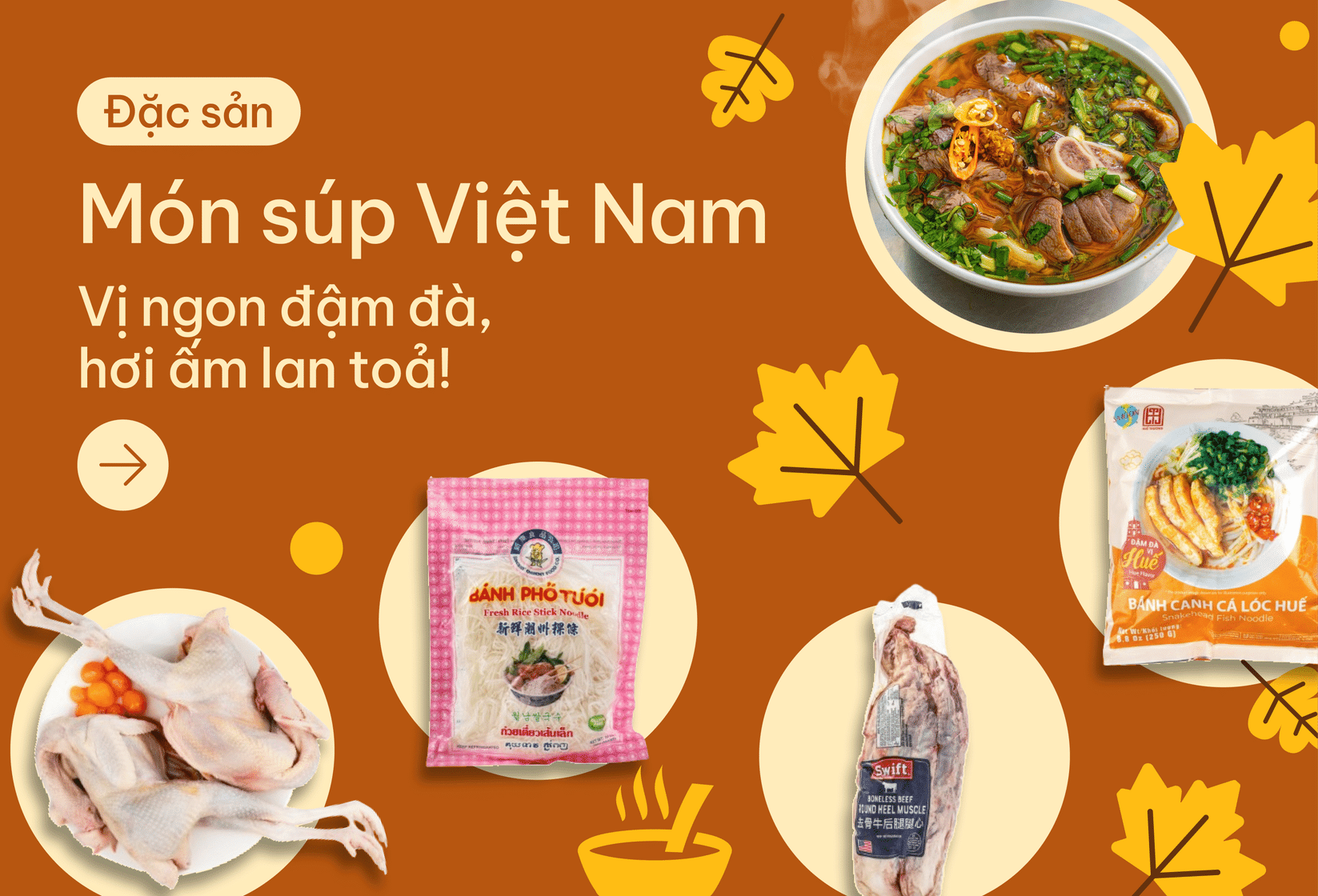 main banner 11 image