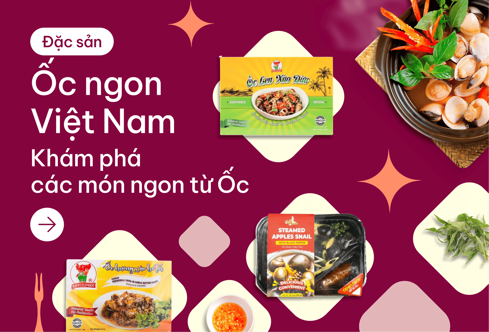 main banner 17 image