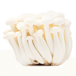 White Beech Mushrooms 1 each