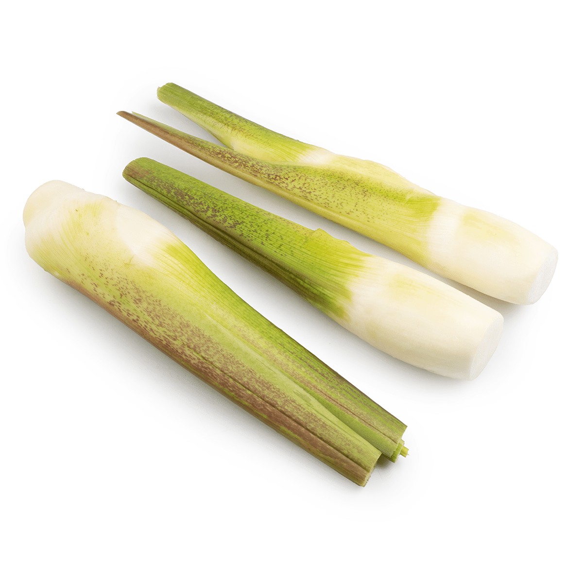 Bambu de Água 0.9-1 lb