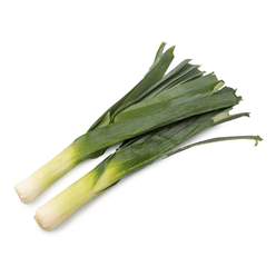 American Leek 1 bunch