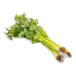 Chinese Celery 1.95-2.05 lb