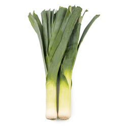 American Leek 1 bunch