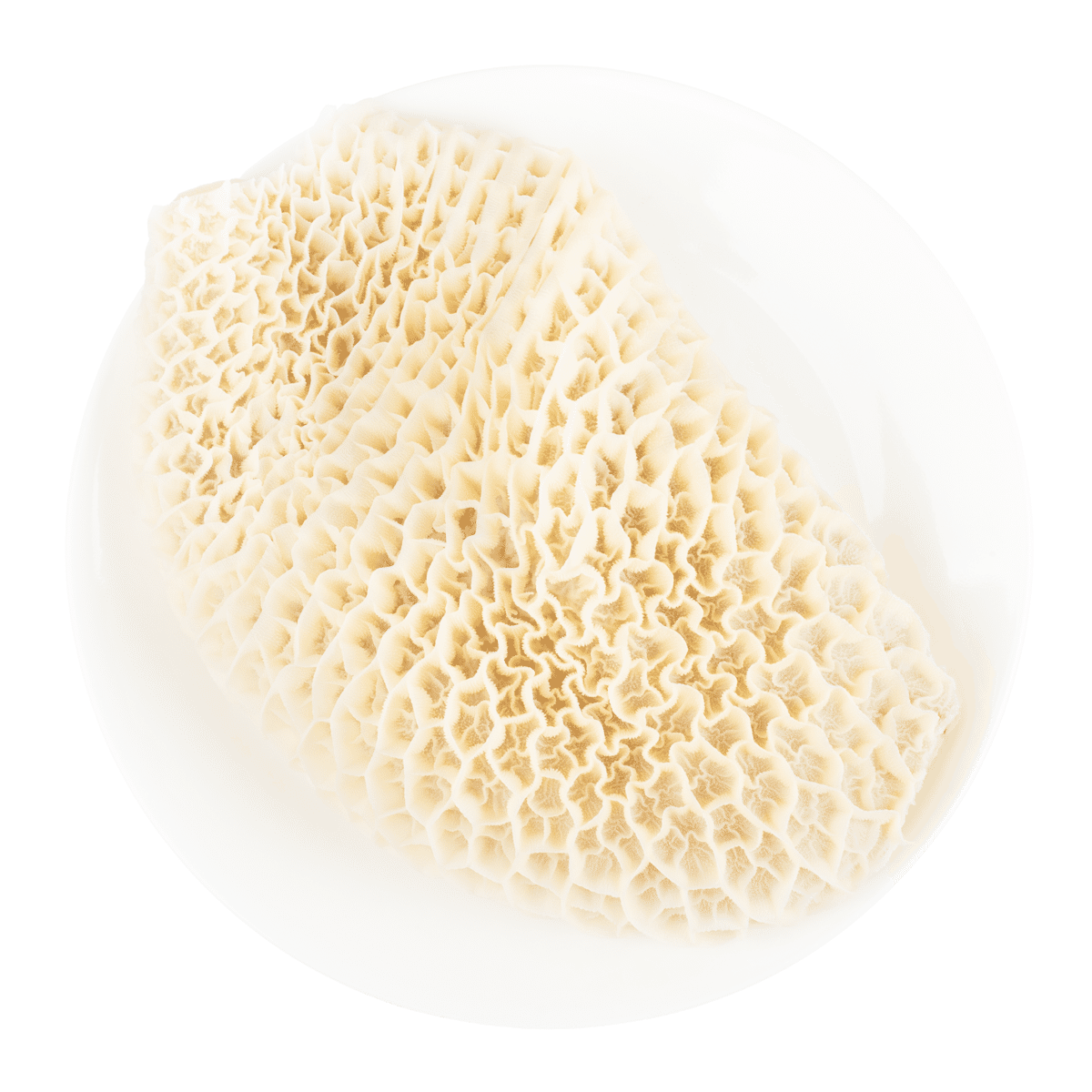 Beef Honeycomb Tripe, Frozen 2 lb