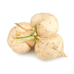 Fresh Young Jicama 3-3.5 lb