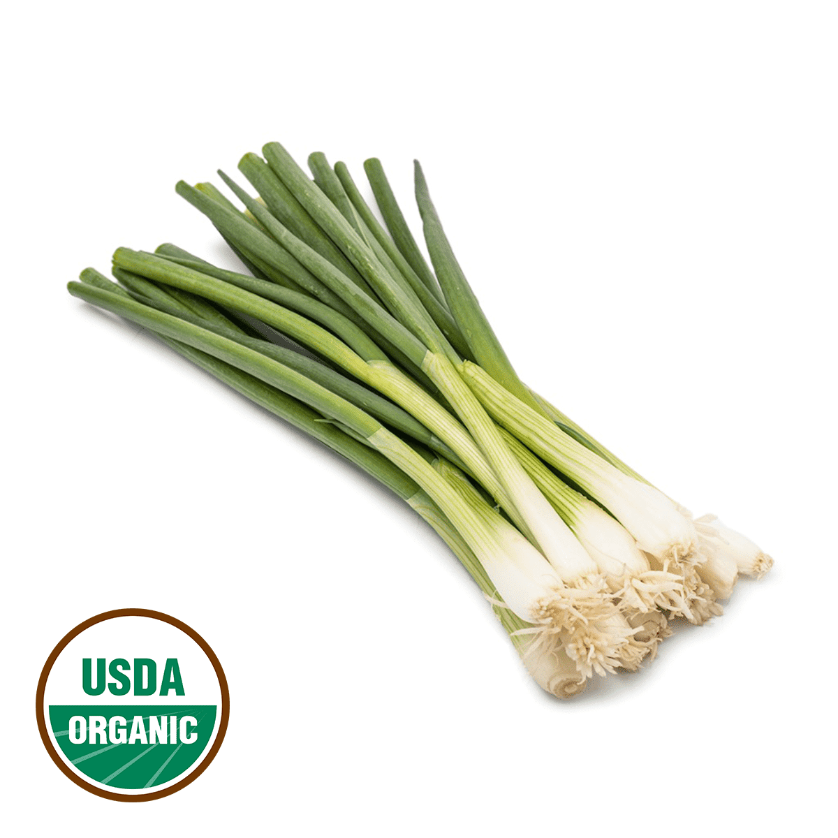 Cebolla Verde Orgánica 4.5 onza(s)