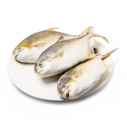 Talassa Golden Pompano, Frozen 3 lb