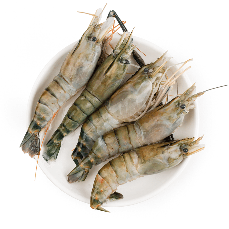 Get Fresh Water Shrimp 4-6ct, Frozen 2 lb Delivered | Weee
