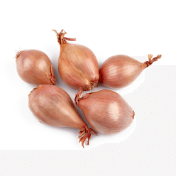 American Shallot 1 lb