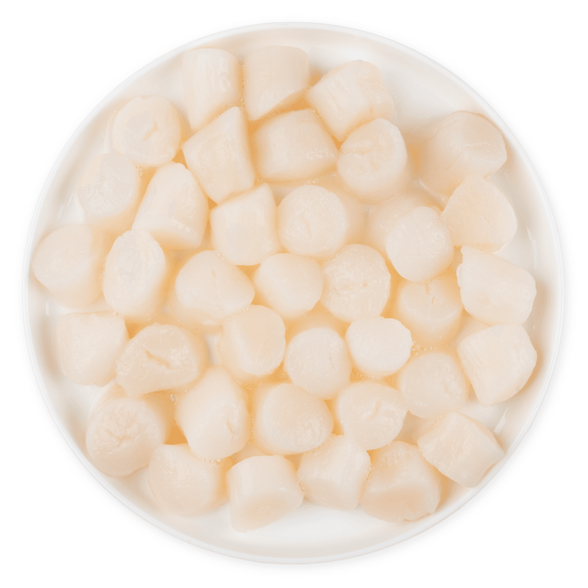 Bay Scallop, Frozen 1 lb
