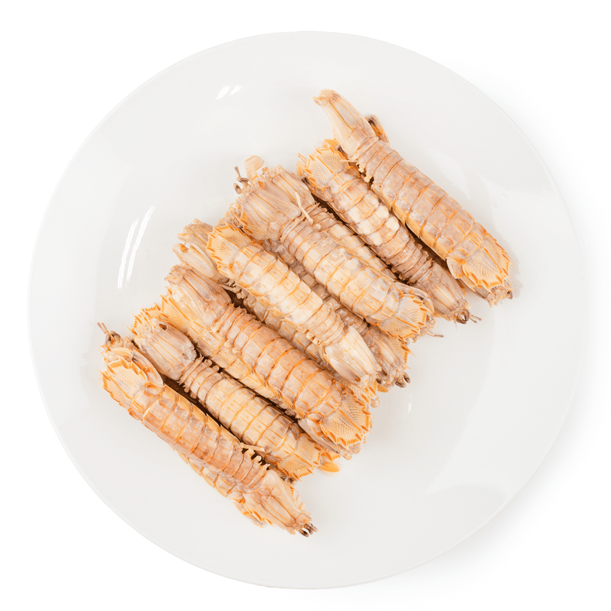 Cooked Whole Mantis Shrimp, Frozen 454 g