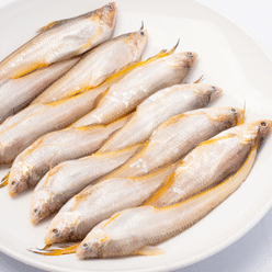 Tapertail anchovy 500 그램