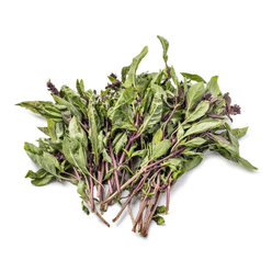 Thai Basil 0.5 lb