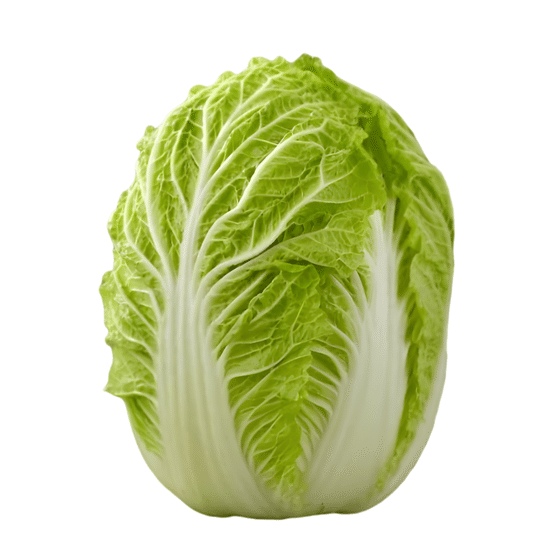 weee_green_Napa Cabbage 1 count