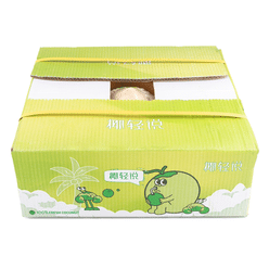 Thai Young Coconut 9ct 1 case
