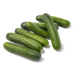 페르시안 오이 14 온스