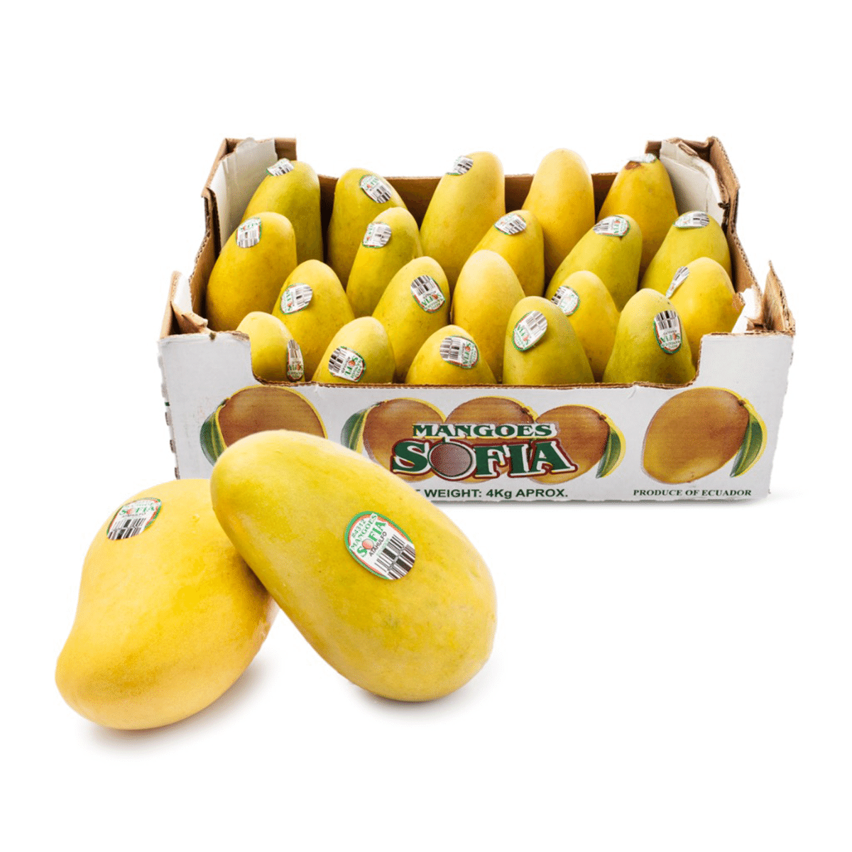 Yellow Mango 14-20 ct 1 case