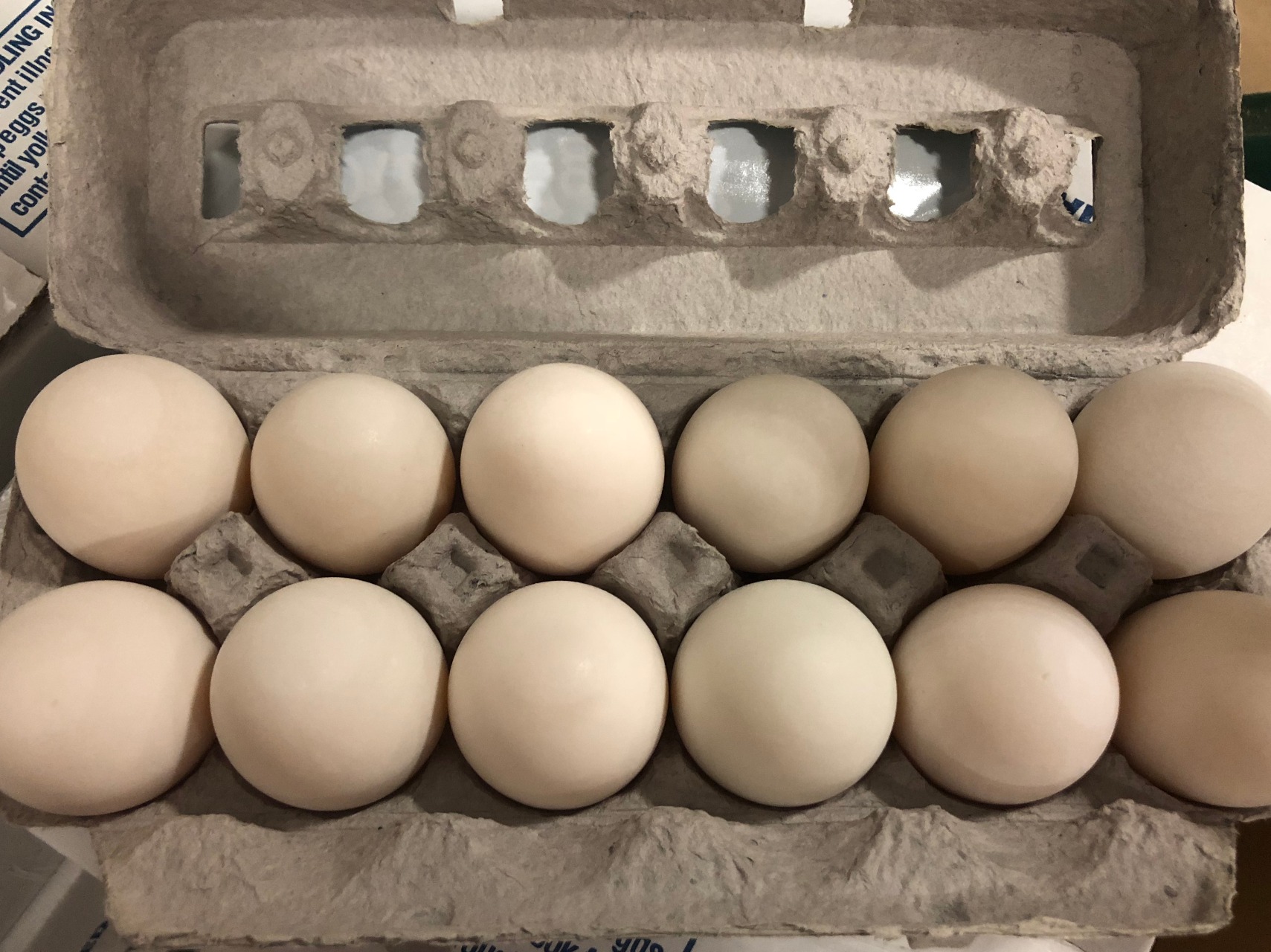 アヒルの卵 鴨卵1箱 - Weee!