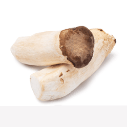 King Oyster Mushrooms 1 lb