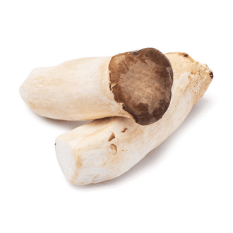 weee top product image 1