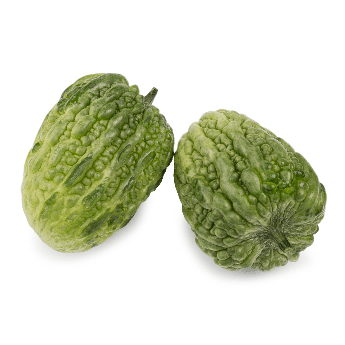 Short Chinese Bitter Melon 1.2-1.5 lb