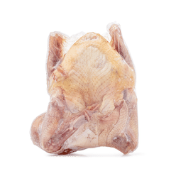 King Cal 냉동 캘리포니아 비둘기 15-17 온스