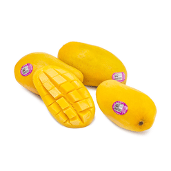 Champagne Mango Gift Box 12-20 count