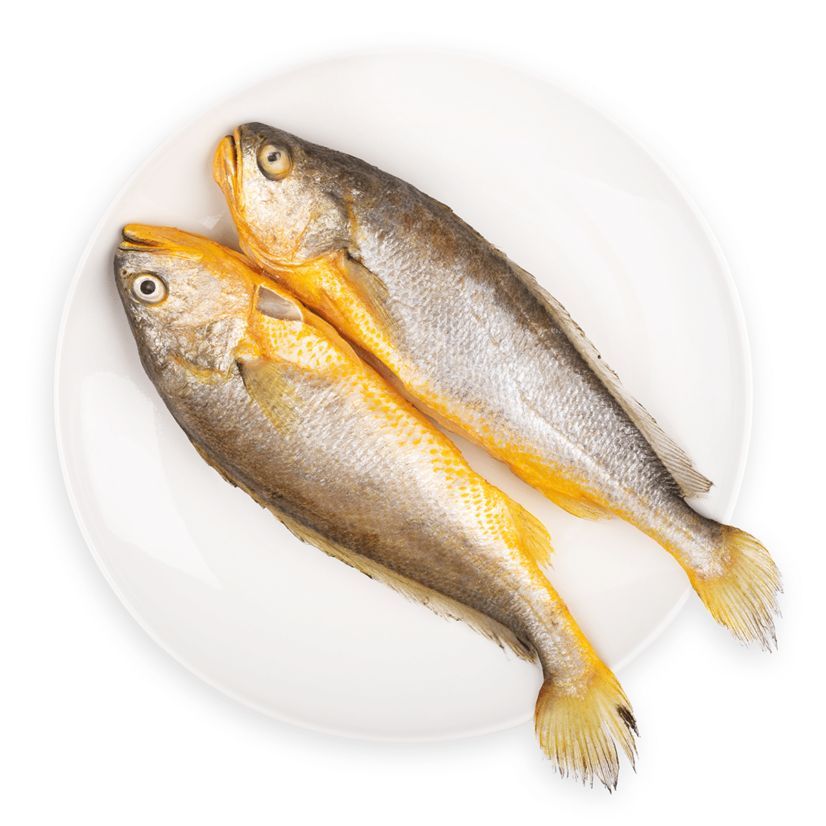 Corvina amarilla entera 3 piezas 500 gramo(s)