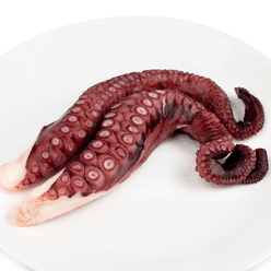 Shirakiku 냉동자숙 문어다리 사시미등급 250 그램