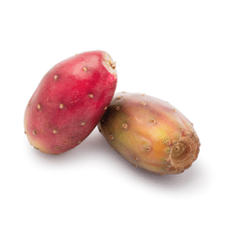 Red Cactus Pear 4 count