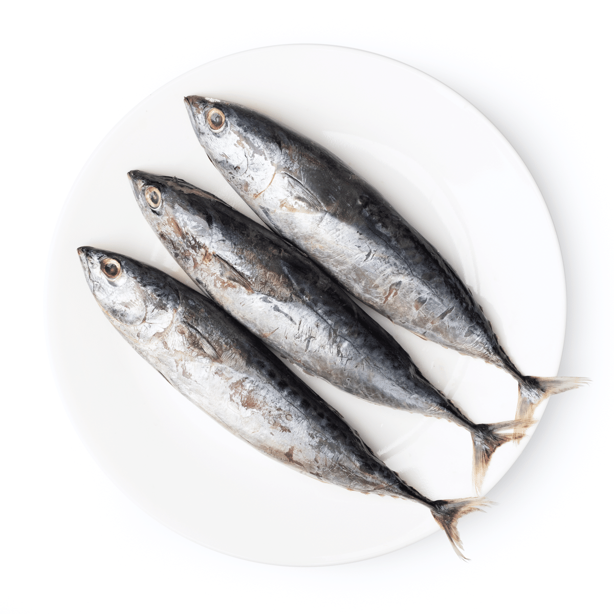 Isla Frozen Tulingan (Bonito) 2 lb