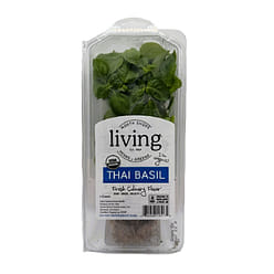 Organic Living Thai Basil 1 each