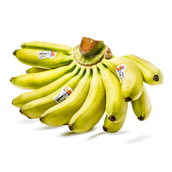 Baby Banana 2.8-3.2 lb