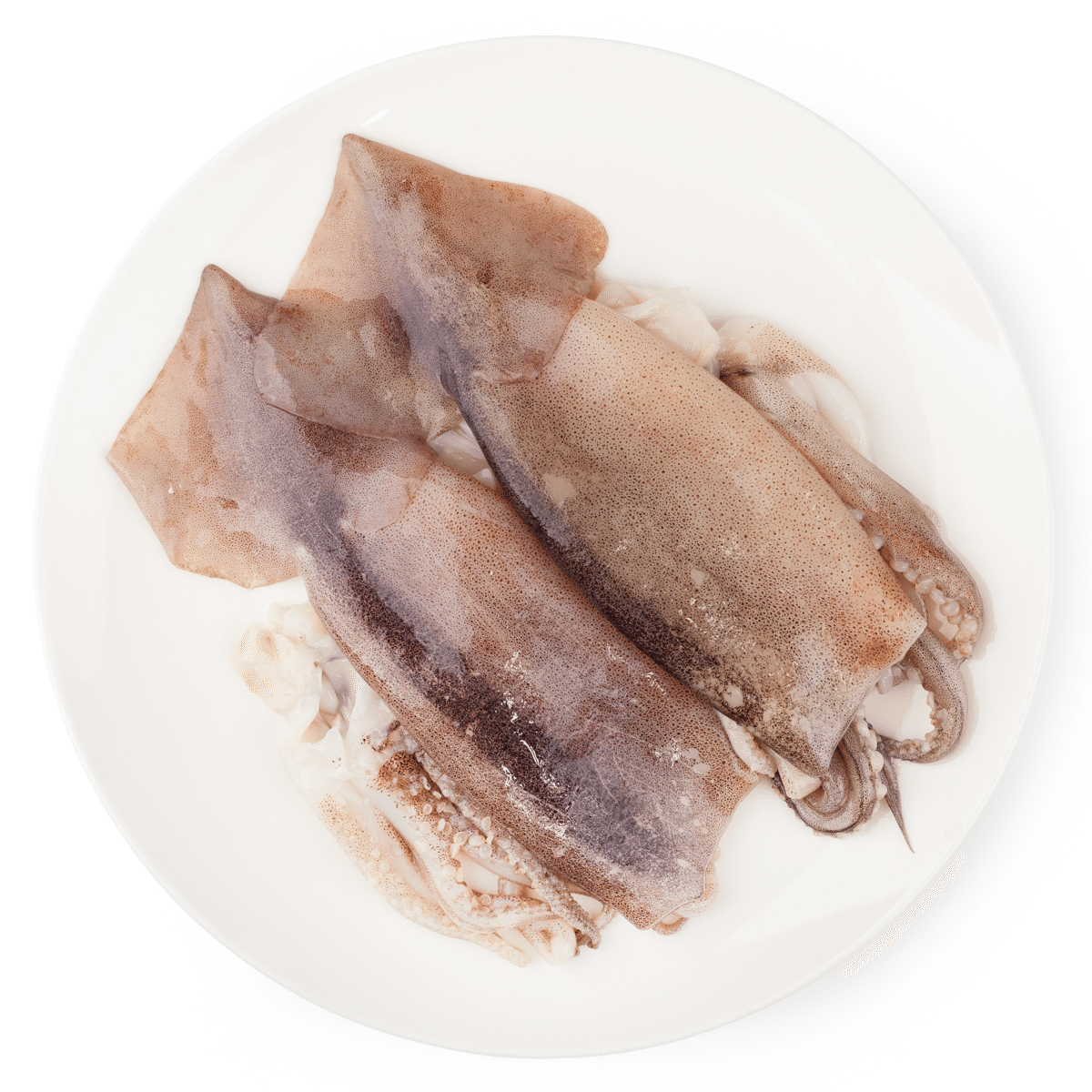 Big Size Jeju Island Cleaned Trimmed Wild Caught Whole Squid, Frozen 400 g